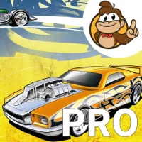 Hot Wheels Collection - Pro